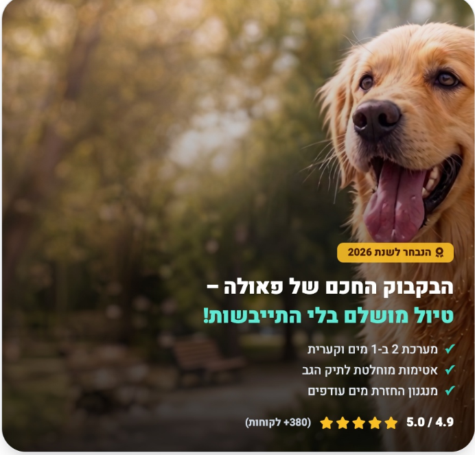 הבקבוק החכם של פאולה – טיול מושלם בלי התייבשות